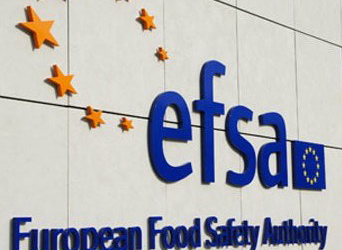 EFSA opinion on L-lysine sulphate