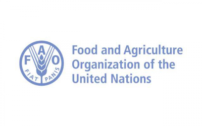FAO addresses importance of feed safety