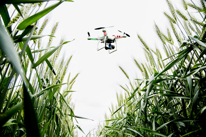 Drones give farmers eyes in the sky