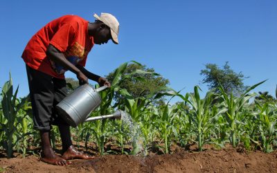 Countries commit to climate smart agriculture. Photo: Dreamstime