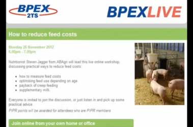 Creep feeding can reduce pig feed costs