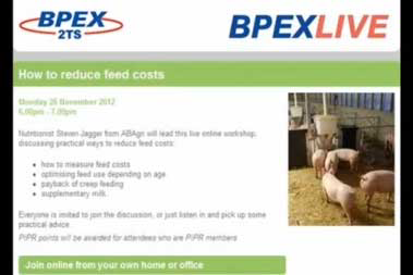 Creep feeding can reduce pig feed costs