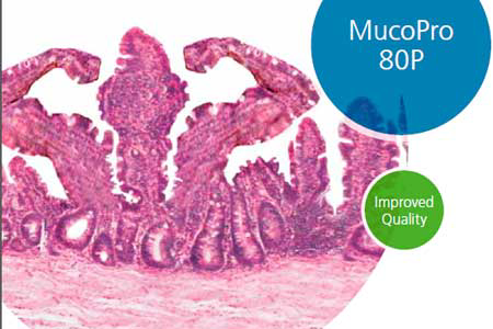 Sonac s new functional protein stimulates feed intake