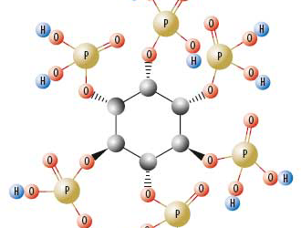 Phytate as an anti-nutrient for poultry and swine