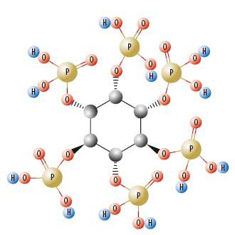 Phytate as an anti-nutrient for poultry and swine