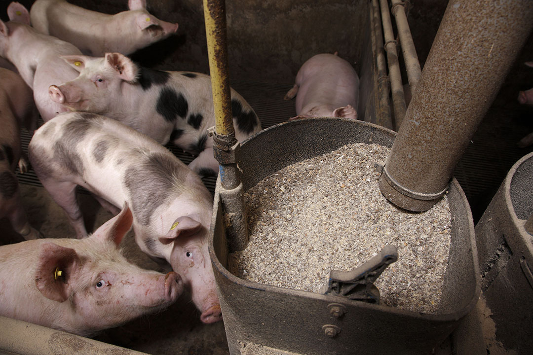 And whilst the possible effects of Covid-19 on supply chains will not be related to pig biosecurity,  we simply don t know what we don t know,  says Duncan Rowland, executive officer at the Stock Feed Manufacturers  Council of Australia. Photo: Hans Prinsen