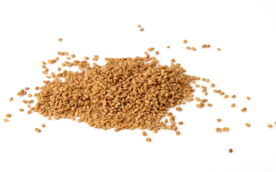 Fenugreek seed extract for the lactating sow. Photo Shutterstock, Ruttawee Jaigunta