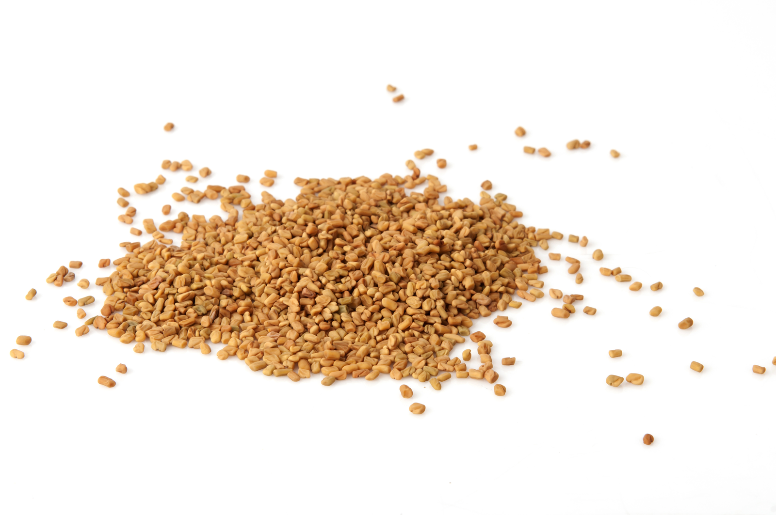 Fenugreek seed extract for the lactating sow. Photo Shutterstock, Ruttawee Jaigunta