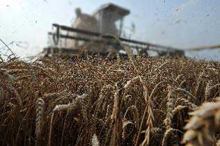 Harper Govt. invests in crop science & innovation