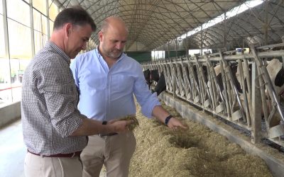 Corens' technical expert ruminants Braulio de la Calle (r) and Trouw's commercial director Joaquin Lorente Lluch look at the actual nutritional value of on-farm raw materials. Photo: Trouw