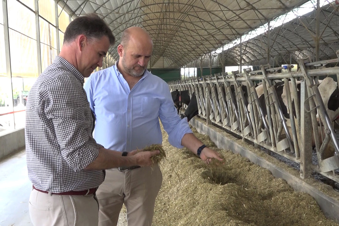 Corens' technical expert ruminants Braulio de la Calle (r) and Trouw's commercial director Joaquin Lorente Lluch look at the actual nutritional value of on-farm raw materials. Photo: Trouw