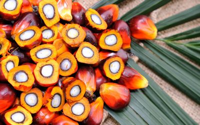 PKFAD is a by-prodcut of the physical refining of palm kernel oil. Photo: Mavesa