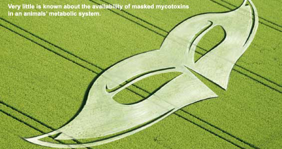 Physiological disturbance caused by mycotoxins