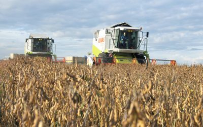 First time ever: Joint action plan for responsible soy. Photo: Koos van der Spek