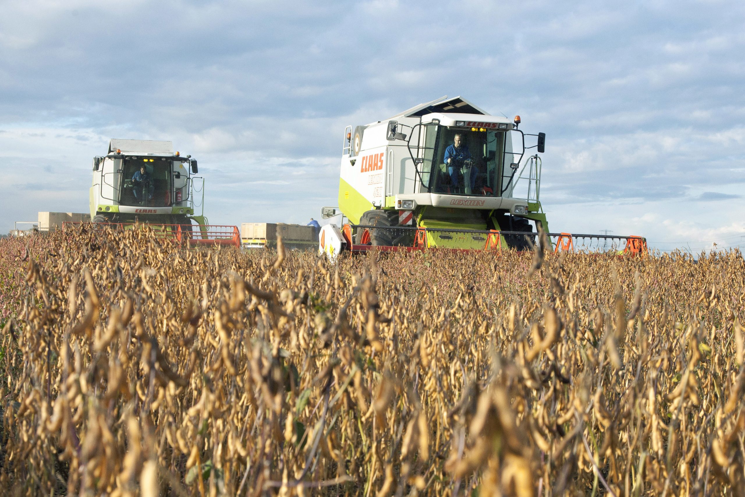 First time ever: Joint action plan for responsible soy. Photo: Koos van der Spek