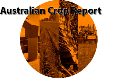 Positive outlook for Australia s winter crop