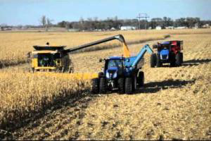 Harper government helps grain farmers grow stronger