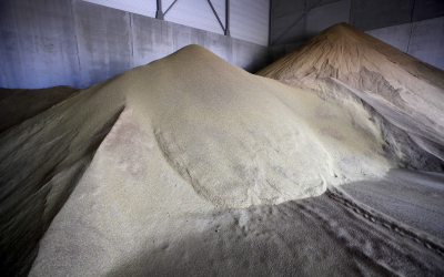 US Grains Council builds DDGS interest in Mexico