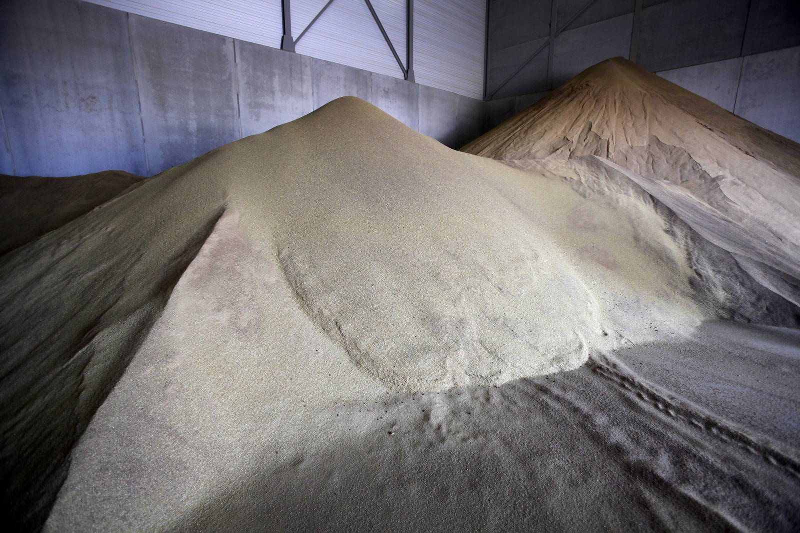 US Grains Council builds DDGS interest in Mexico