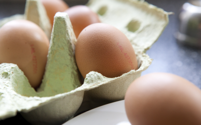 Using algae to produce omega-3 eggs