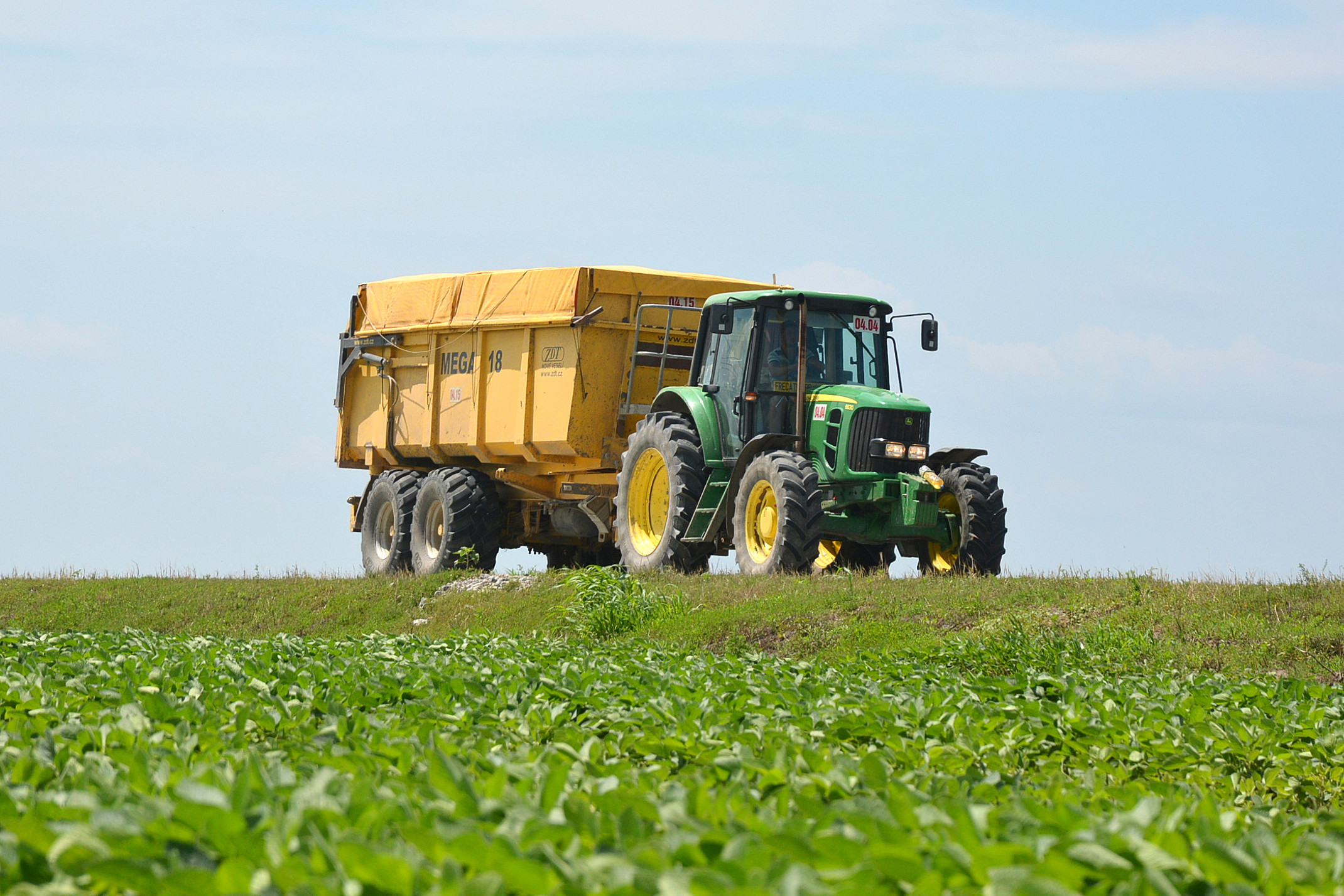 Whopping harvests for one Romanian crop farm. Photo: Chris Mc Cullough