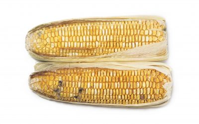 Aflatoxin B1_changes in risk profile Spain. Photo: Winnond/Shutterstock