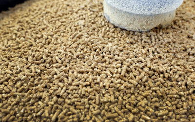 Ukrainian company to boost animal feed production