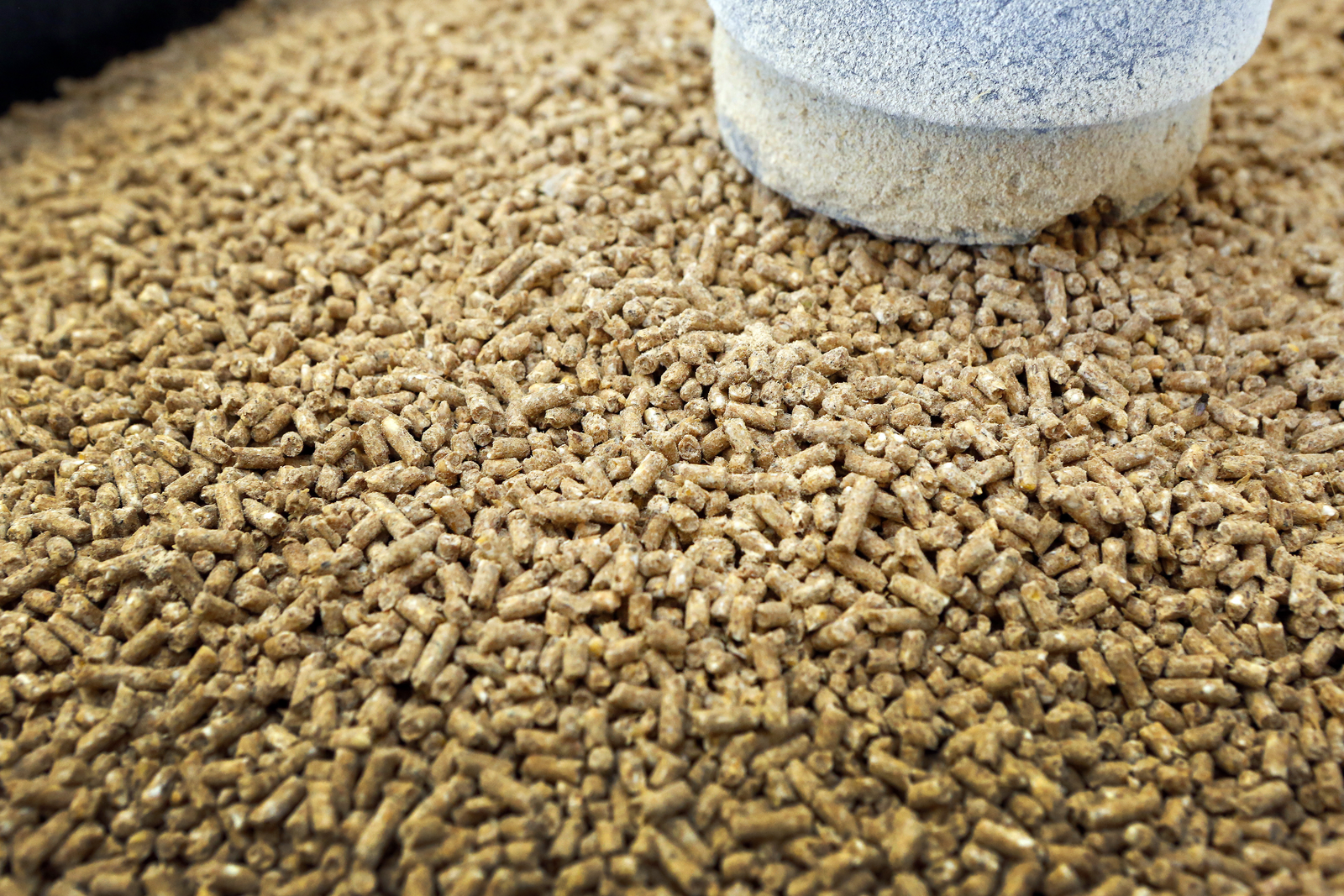 Ukrainian company to boost animal feed production