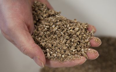 World feed production exceeds 1 billion MT. Photo: Hans Banus