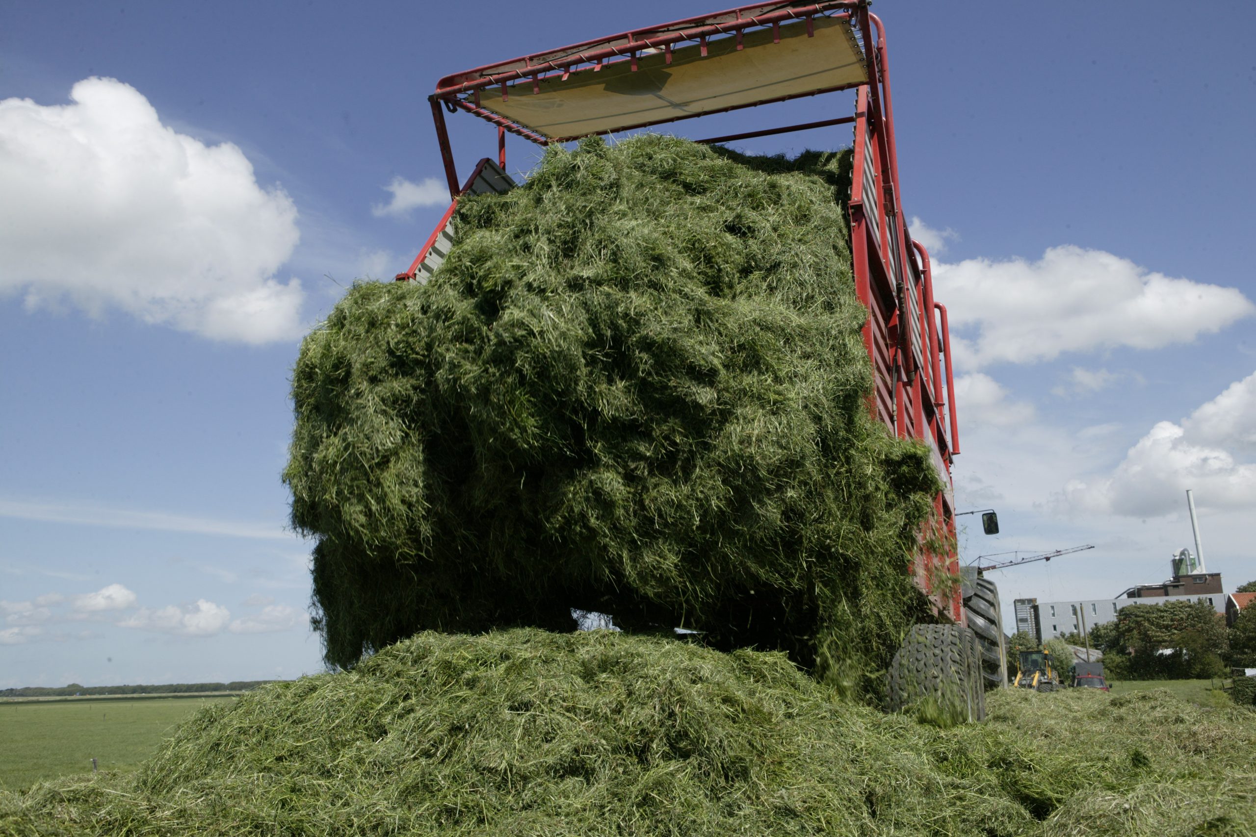 Silage making: Watch the mycotoxins. Photo: RBI