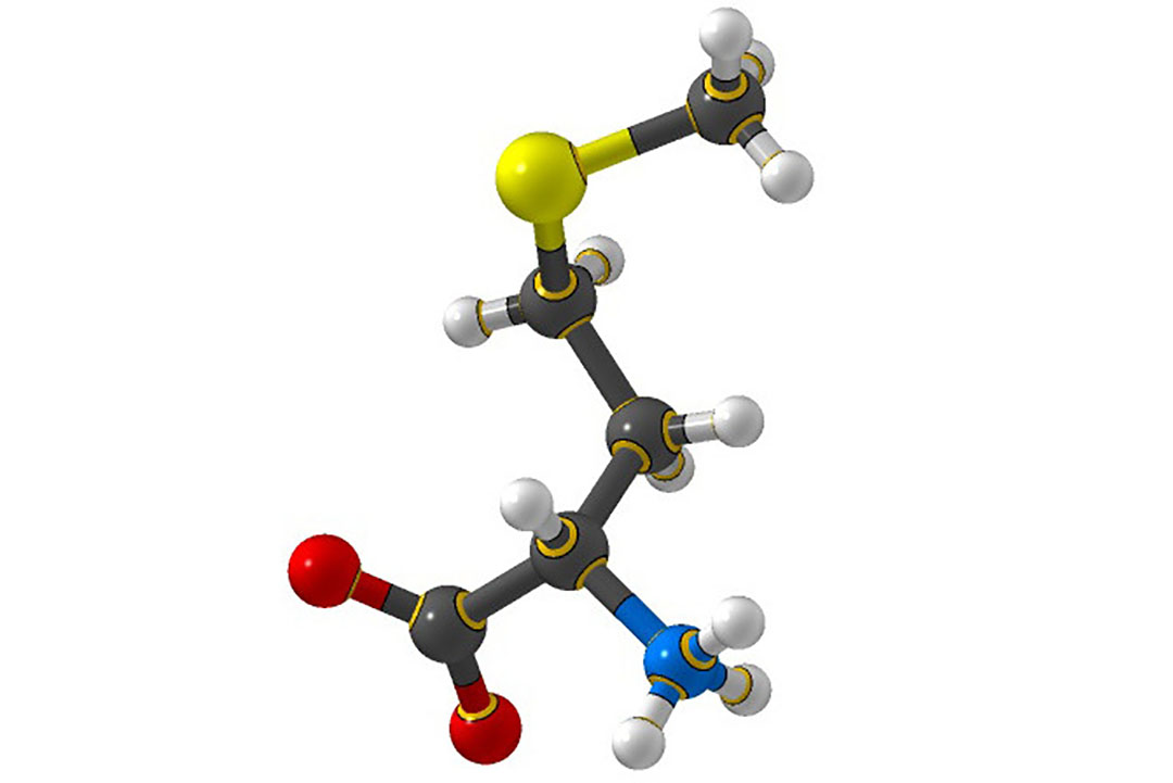 Methionine