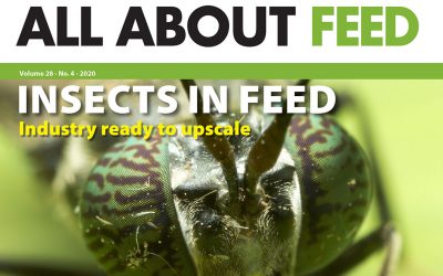 Introducing the 4th 2020 edition of All About Feed