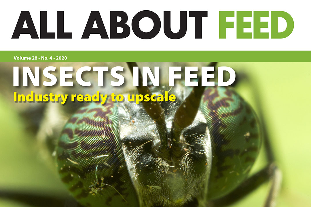 Introducing the 4th 2020 edition of All About Feed