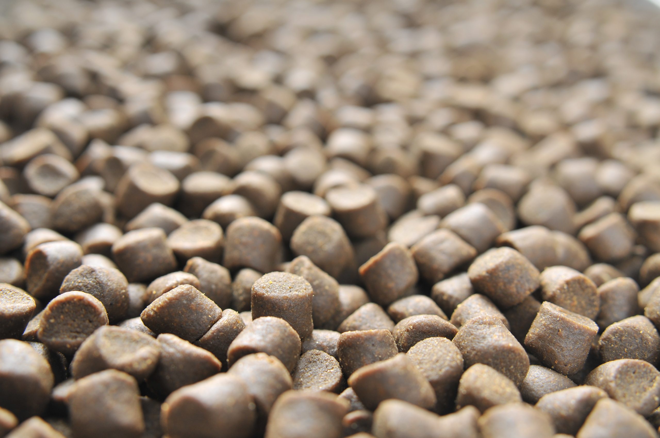 Skretting wants to grow its fish meal free concept. Photo: Shutterstock