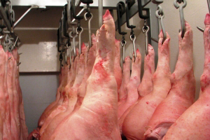 Mexico to supply ractopamine-free pork to Russia