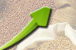 WASDE report optimistic of low grain prices
