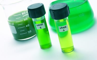 US study:Algae can be produced more efficiently. Photo:  Dreamstime