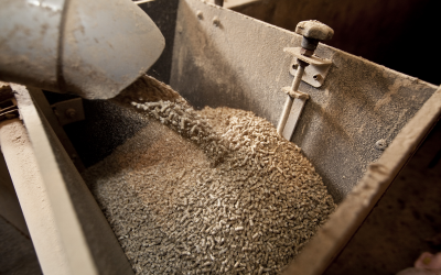 Oils and fats in feed: precious, but neglected?