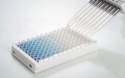 ELISA (enzyme-linked immunosorbent assays) test kits are accurate and reliable. Up to 6 mycotoxins can be analysed from 1 extraction. Photo: Erber Group