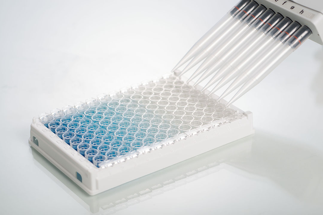 ELISA (enzyme-linked immunosorbent assays) test kits are accurate and reliable. Up to 6 mycotoxins can be analysed from 1 extraction. Photo: Erber Group