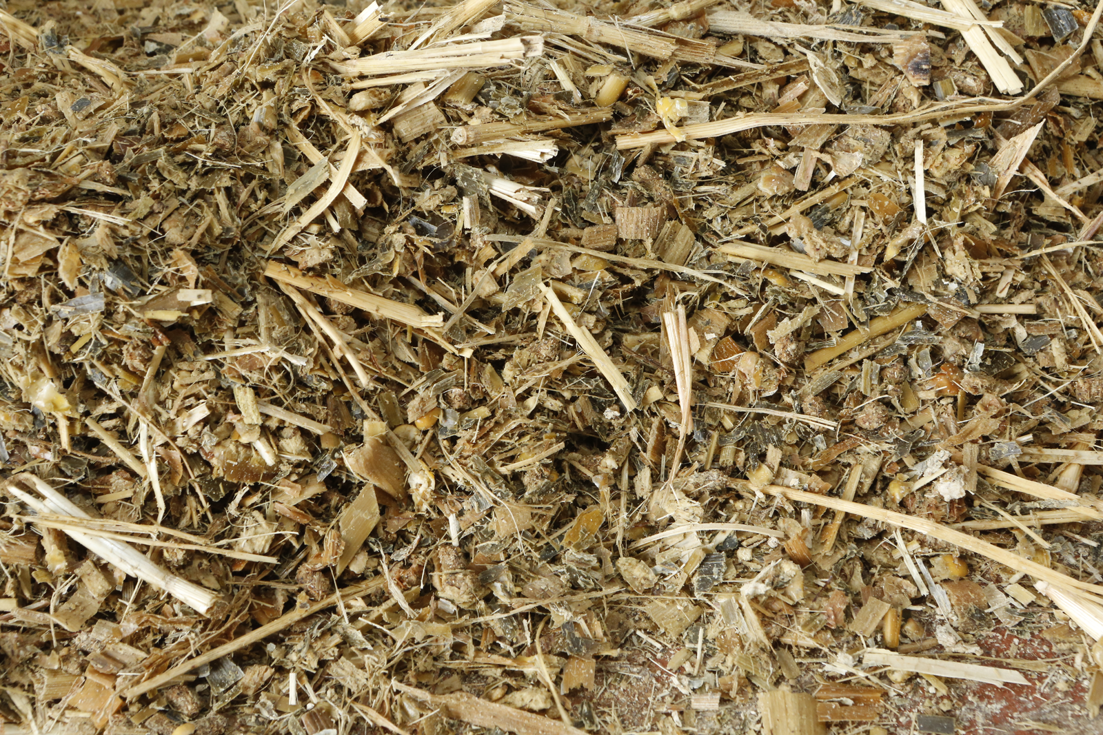 The effect of longer chopped silage in feedlot cattle