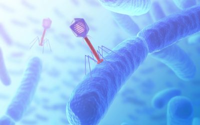 Bacteriophage are viruses (with genetic material) that infect bacteria. Photo: Proteon Pharmaceuticals