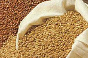 Russian: Farmers using less grain in compound feed