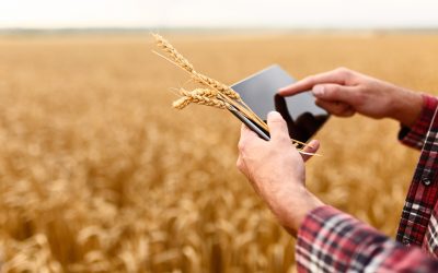Weekly update on the global feed business. Photo: Shutterstock