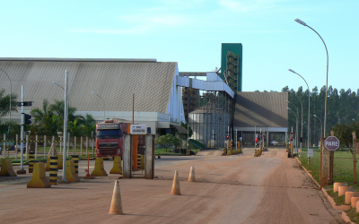 Mato Grosso: soy state of the world