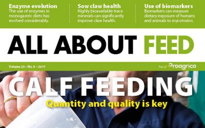 New All About Feed now available online