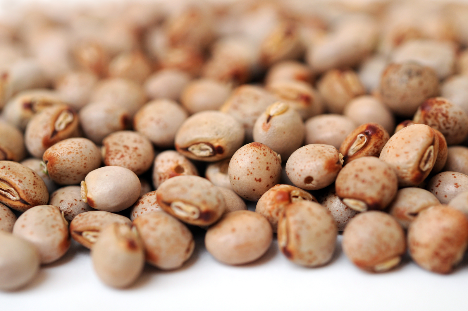Pigeon peas are one alternative protein source being considered for poultry diets. [Photo: Shutterstock, An Nguyen]