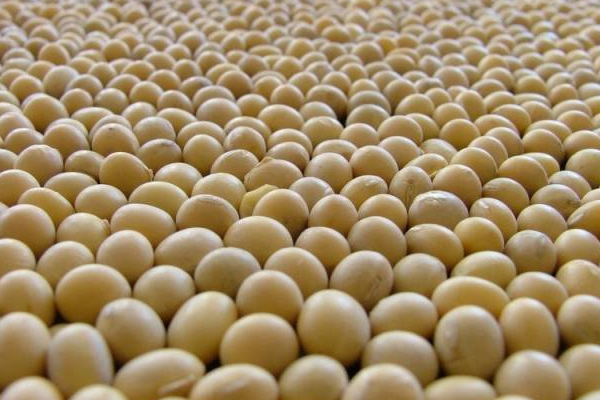 US soy exports hit record for value in 2013