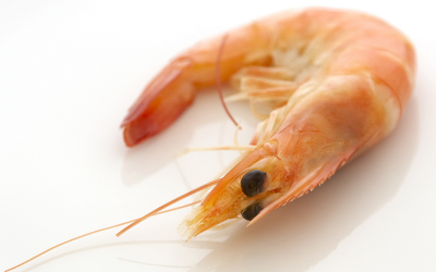 New methionine source for shrimp and crustaceans