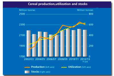 FAO report predicts growth for 2013 cereal production